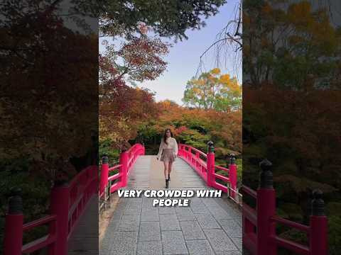 Video: Flori japoneze (foto). Tunel de flori în grădina japoneză „Kawachi Fuji”. Parcul floral japonez „Ashikaga”