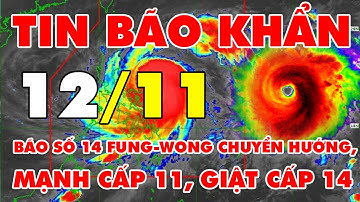 🆘 TIN BÃO KHẨN: Bão số 14 FUNG-WONG đã chuyển hướng, mạnh cấp 11, giật cấp 14