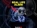 The Real-Life "Alien" of the Deep. #phronima #deepsea #alien