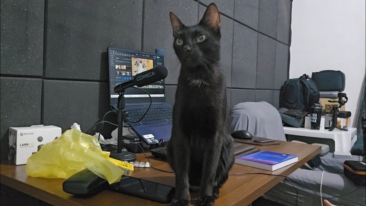 É só nesses momentos que o Júlio me procura !! 😂😂😂 #Vlog