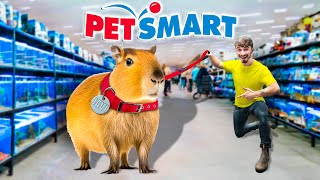 Taking My Capybara Back To Petsmart!