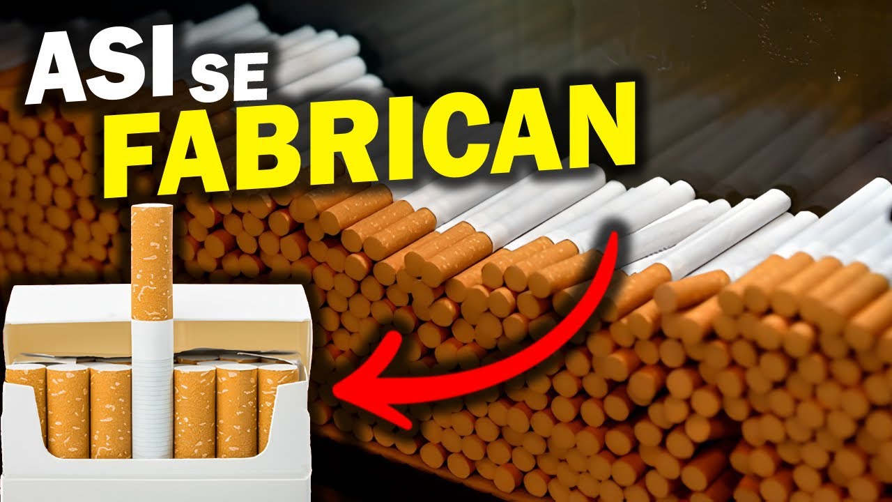Visité la MEJOR FÁBRICA de TABACO del mundo