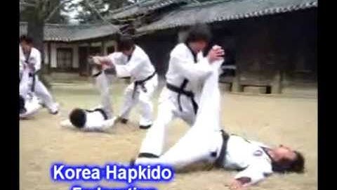 Short Documentary on the Introduction of the Korea Hapkido Federation - Translated in English