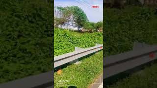 Download Lagu Dinding pemisah betran peto. MP3 Download Lagu Dinding pemisah betran peto. MP3