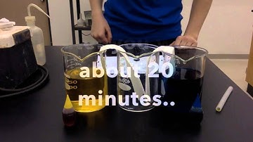 Adhesion & Cohesion Video