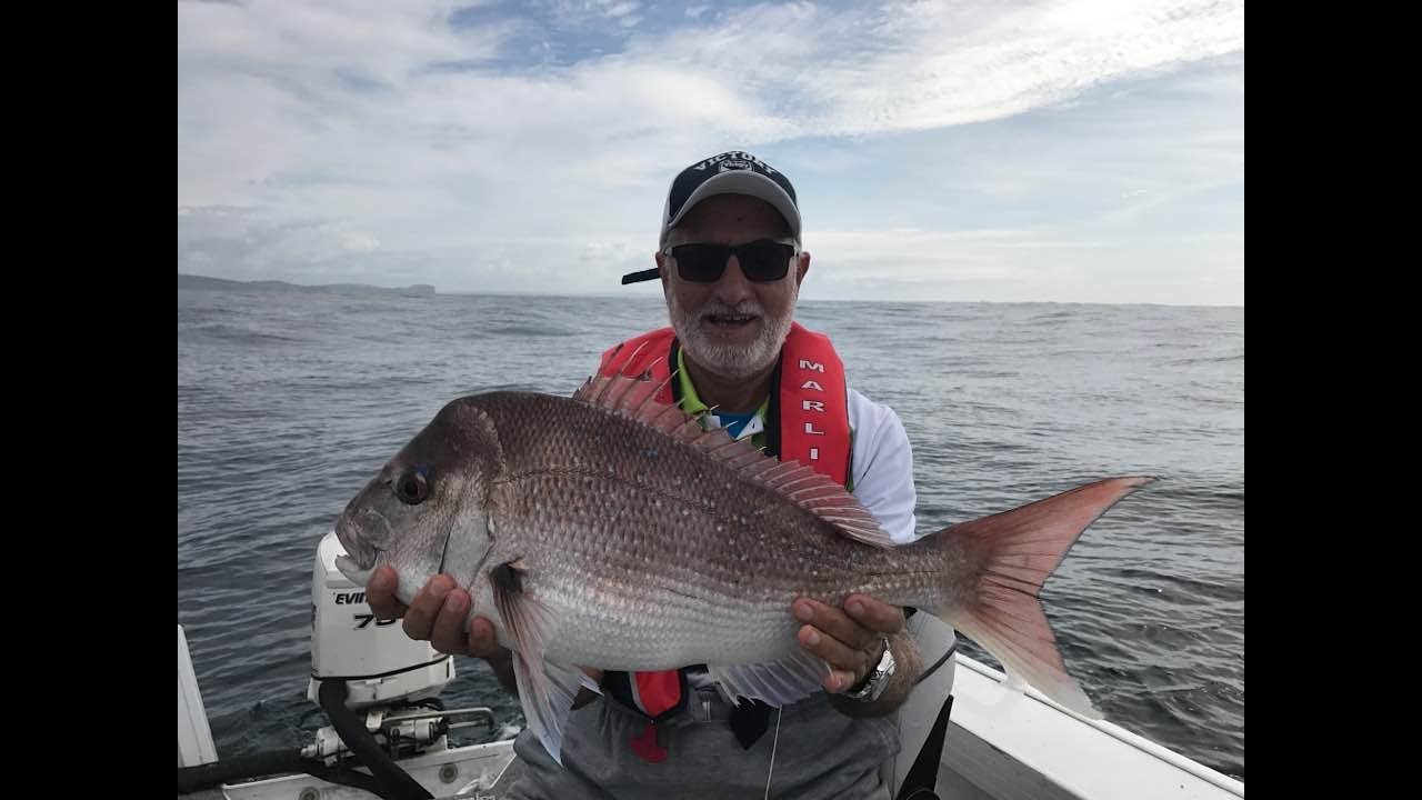 Catching the Giant Snapper - YouTube