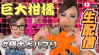 人気　クルバクリッサナ師　　テープジャムランA　聖なる神の蝶　プラクルアン　幸運 Guerrilla [Live Stream] Drag Queen's Favorite Citrus Fruits