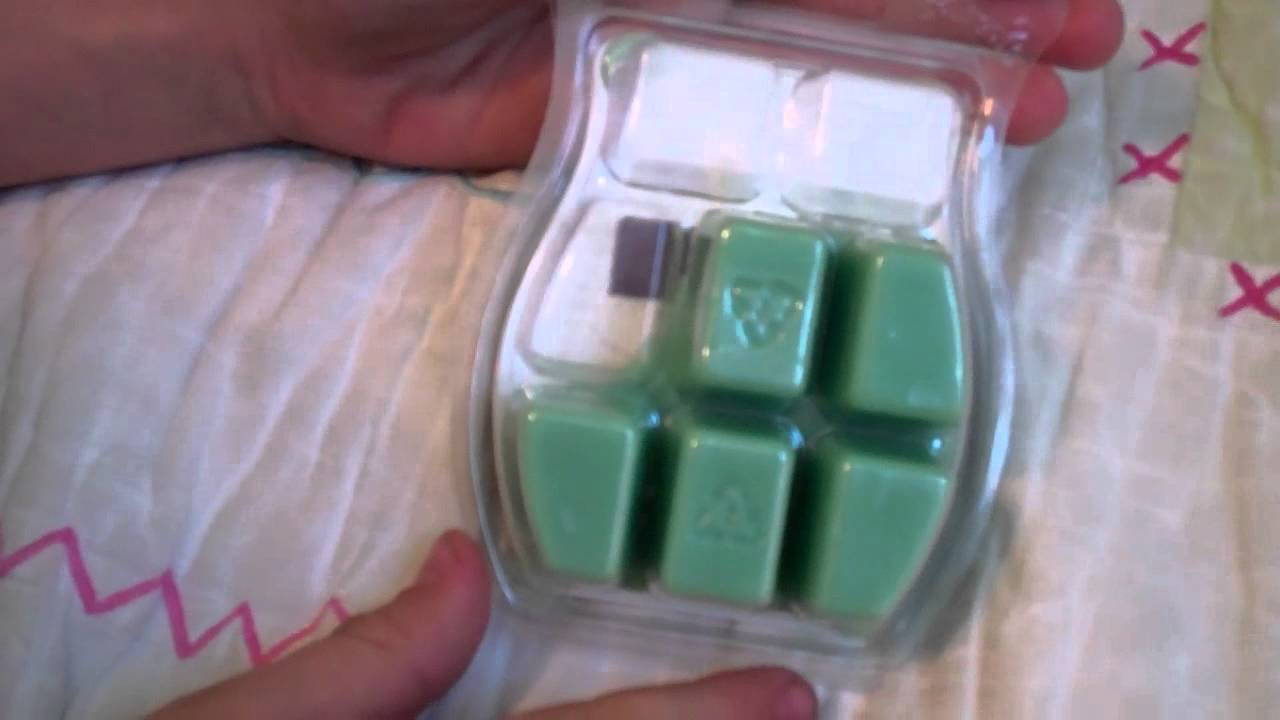 "Scentsy Founder"|"We party Wickless"|"Images for Scentsy"|"Meridian Idaho"|"Troy Egan"