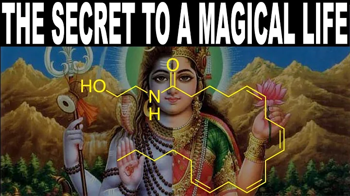 The secret to a MAGICAL life... (Anandamide = Bliss)