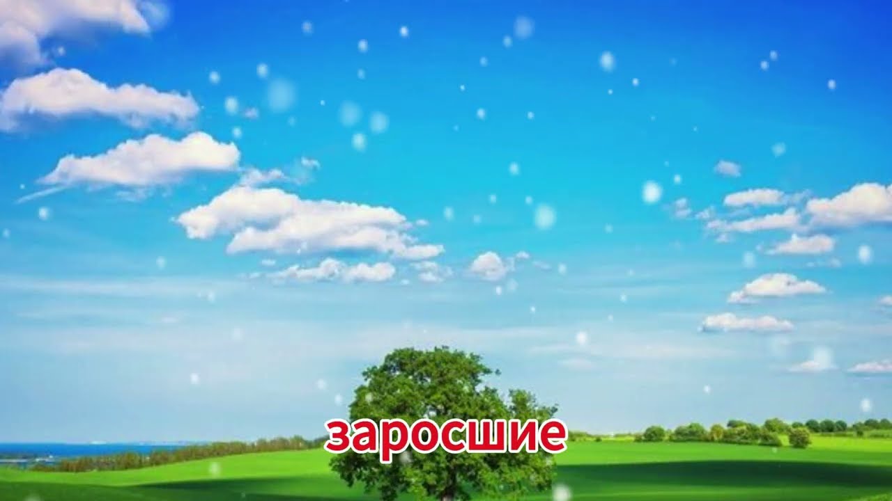 Он никак не ожидал услышать это от своей тещи — и это его очень озадачило.