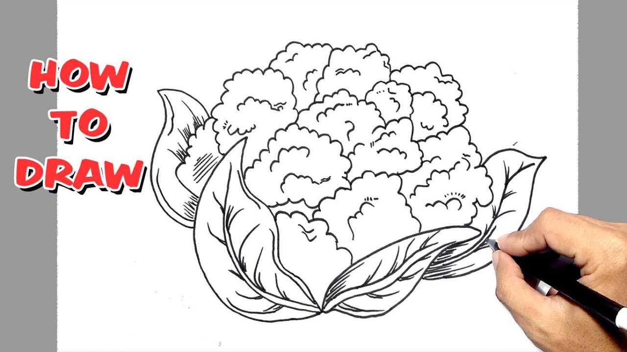 Watercolor Cauliflowers clipart PNG, vegetable illustrations