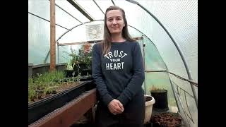 90 Second Video FTFFSPC