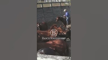 How To Make A Flagging Horse 3.2