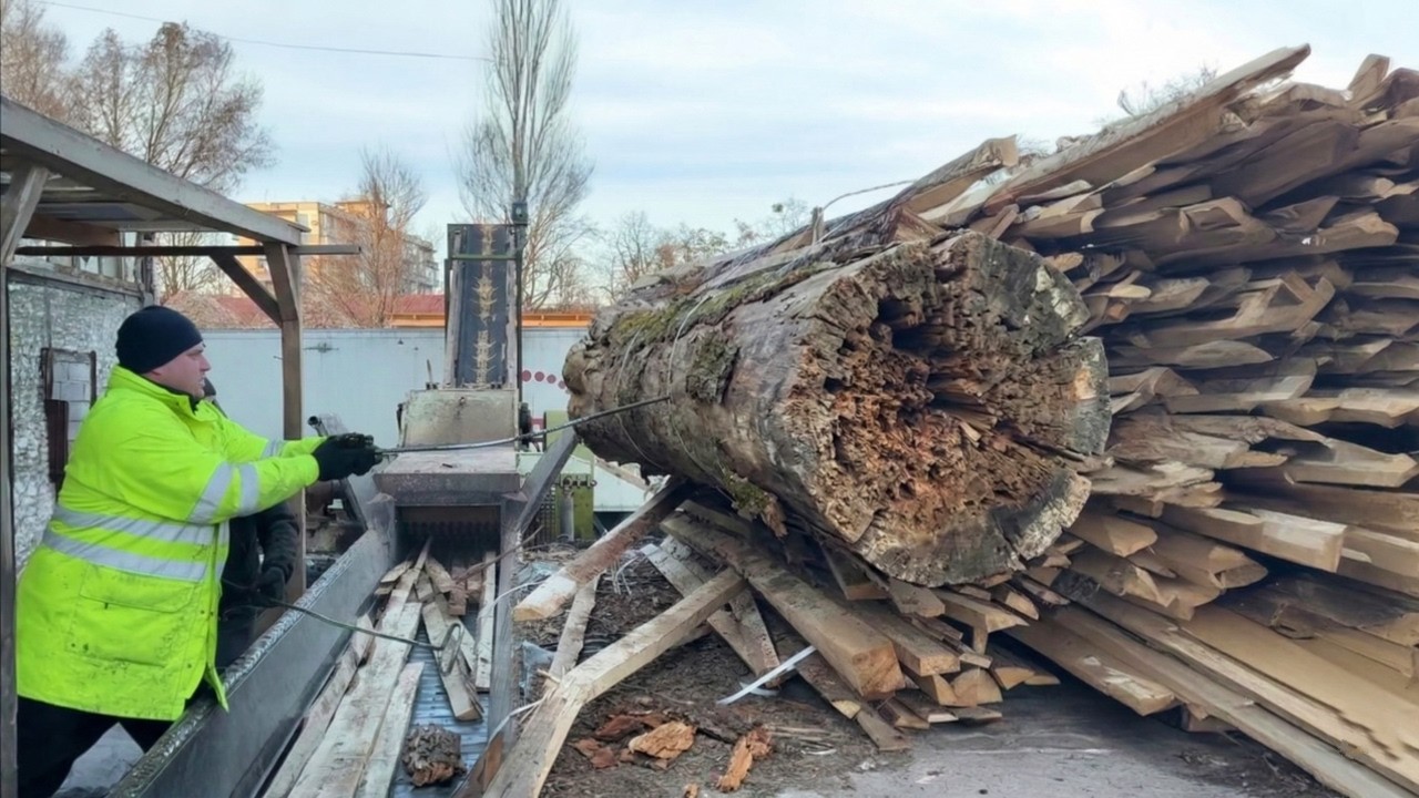 Massive Logs vs High-Power Industrial Shredder