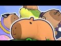 🔴 Live - Capybara Merge Adventure - Capy Merge : Animal Drop - capybara cute Game
