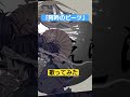 【銀の盾】歌い手が「阿吽のビーツ」歌ってみた #歌ってみた #music #歌い手 #阿吽のビーツ #ボカロ #サイモン