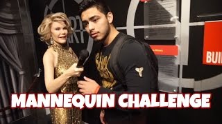 MANNEQUIN CHALLENGE | CELEBRITY EDITION