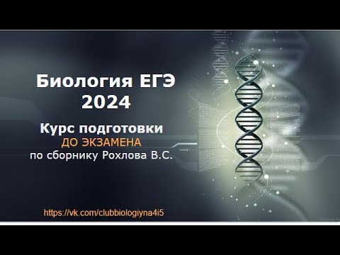 ЕГЭ 2024 Задачи на закон Харди - Вайнберга