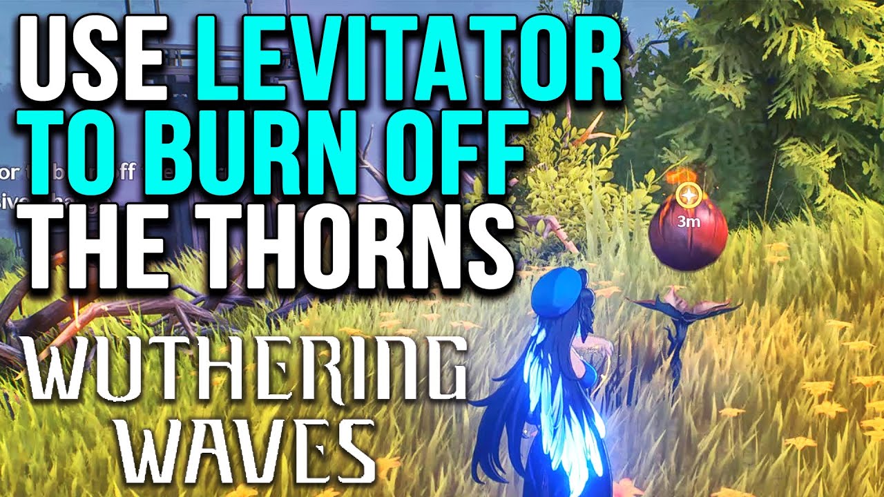 How to Use Levitator to Burn Off the Thorns in Wuthering Waves