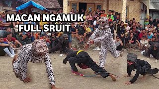 Macan Ngamuk Bantengan Satria Macan Kumbang Ft Garuda Sakti Live Wewe Gondang Mojokerto