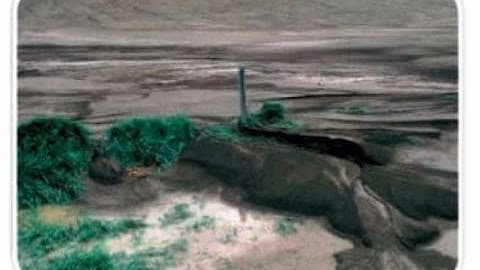 Class 5 Science, Chapter 7: Soil (Part 1)