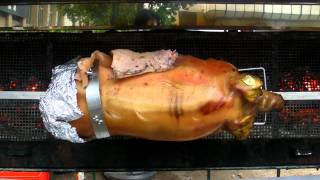 20110905 맥주축제 구역엔 애기돼지가 빙글빙글