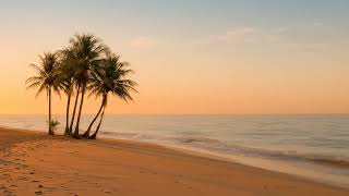 Caribbean Breeze 🌴 Reggae Chill Beats | Relaxing Ocean Waves for Study, Focus &amp; Calm Vibes