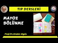 Embriyoloji, Mayoz Bölünme, Tıp Dersleri, Serdar Akgün Videoları