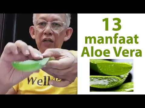 Video: Jus Aloe Vera Untuk Refluks Asid: Yang Perlu Anda Ketahui