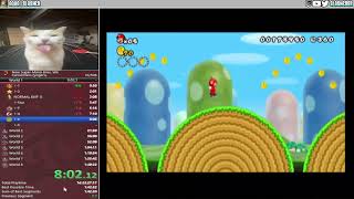 New Super Mario Bros. Wii Cannonless Speedrun in 1:46:51