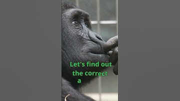 Quiz: ultimate Trivia Showdowns: Test Your Knowledge and Have Fun!  #shortvideo