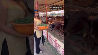 Sharwari Gujar Feeding Cows