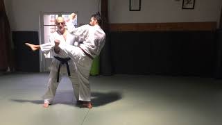 Heian 3 Sandan Bunkai 1