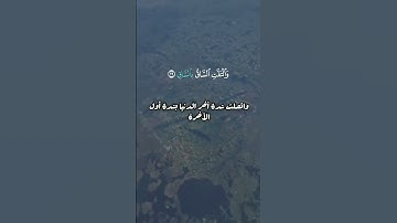 لنتدبر معاني ايات من سورة القيامة بصوت القارئ طارق محمد #quran