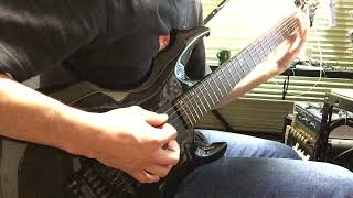 Symbiosis    Decrepit Birth   Guitar Cover