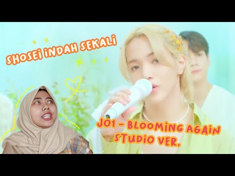 JO1 BLOOMING AGAIN STUDIO VER. REACTION | COWO KUE PALING INDAH