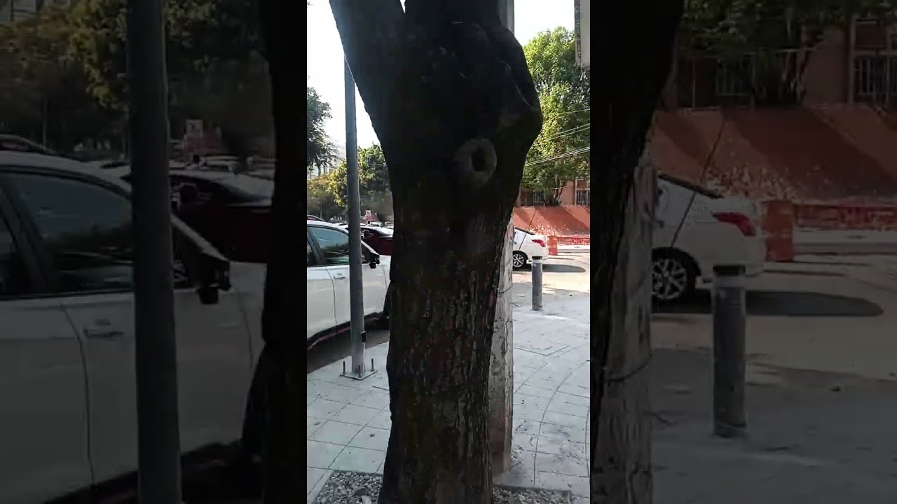 Proyecto Tec de Monterrey NOS CHINGAMOS TODOS...