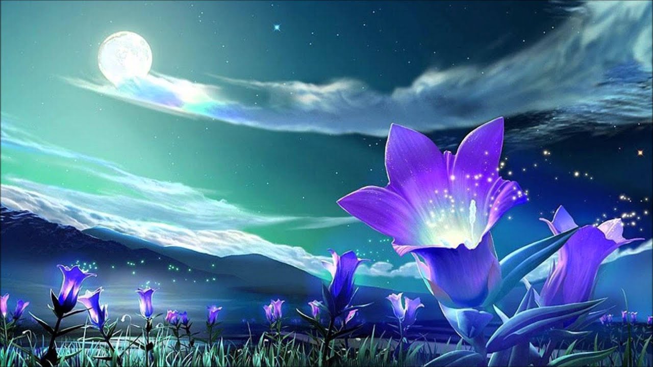 [Chill-Out] Night At The Garden - SL