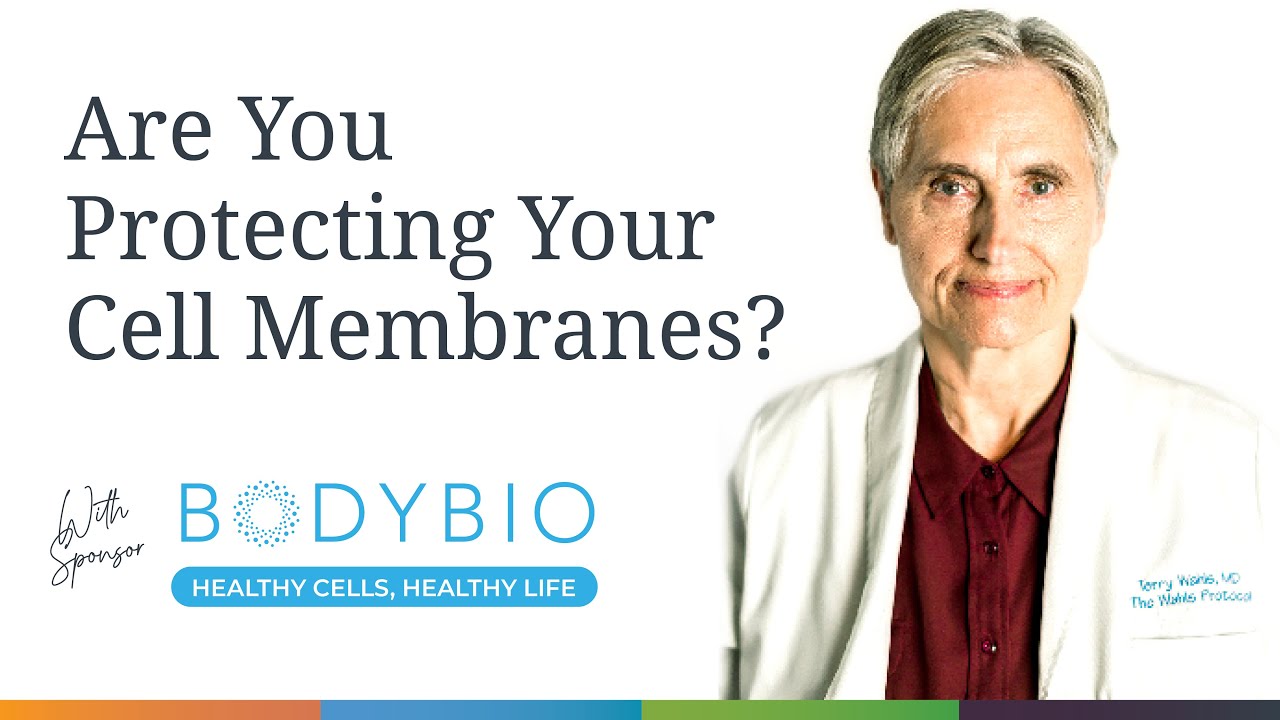 Are You Protecting Your Cell Membranes?  An Overlooked Wellness Strategy