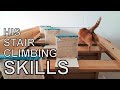Alvi cat : stair climbing skills - update