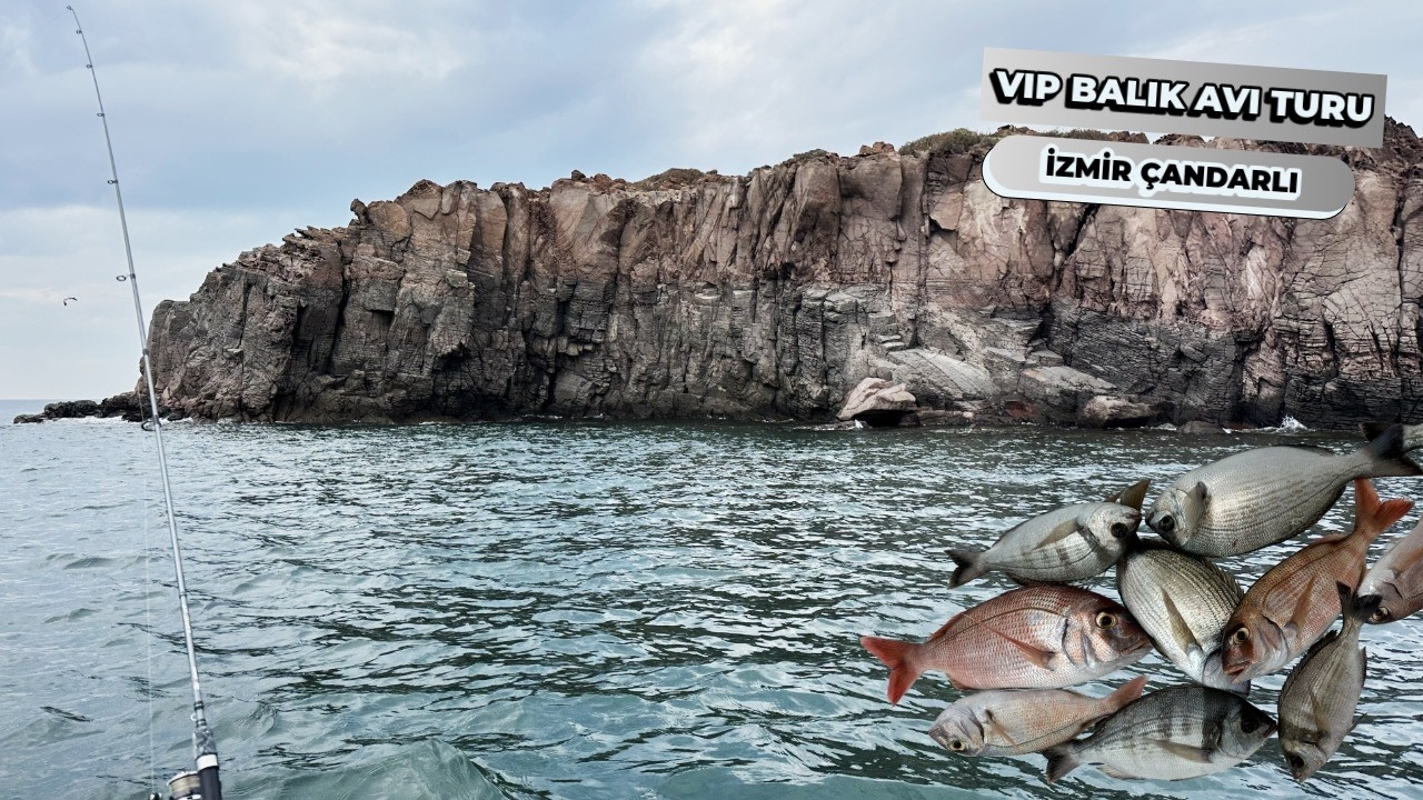 İZMİR ÇANDARLI'DA VİP BALIK AVI TURU | İRİ MERCAN VE FANGRİ AVI | Teknemia