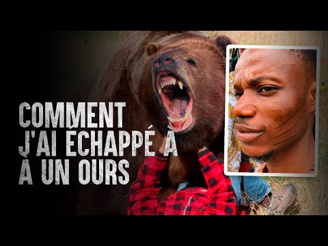 Vidéo: Que faire si vous rencontrez un ours dans la nature