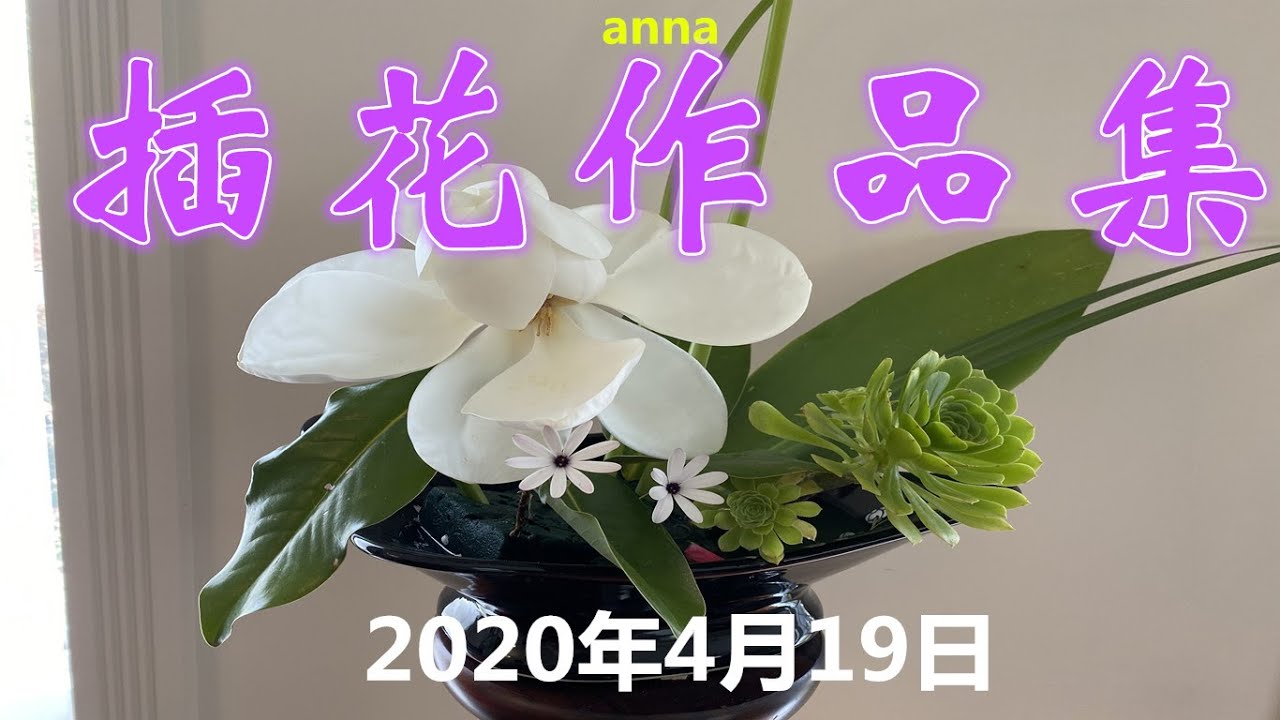 Anna 夏秋flower arrangement 2020年4月19号 插花作品欣赏