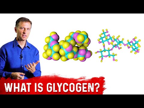 What is Glycogen? – Dr.Berg