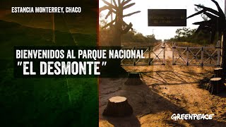 Inauguramos el Parque Nacional: "El desmonte" en Chaco