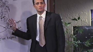 The Best Model of Hypnosis Explained - Theory of Mind