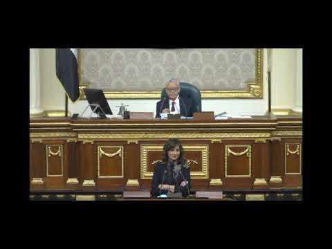 النائب عمرو حسين هندي ومناقشة مشاكل المصريين بالخارج مع وزيرة الهجرة