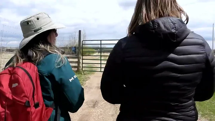 Bison Backstage Tour at Elk Island National Park (educational event), Alberta, Canada