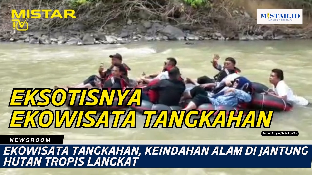 Ekowisata Tangkahan, Keindahan Alam di Jantung Hutan Tropis Langkat