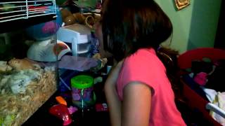 My Gerbil Pinky is not a boy!!!